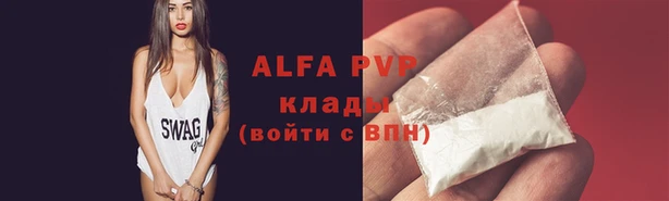 молекула духа Балахна