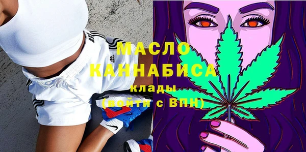 молекула духа Балахна
