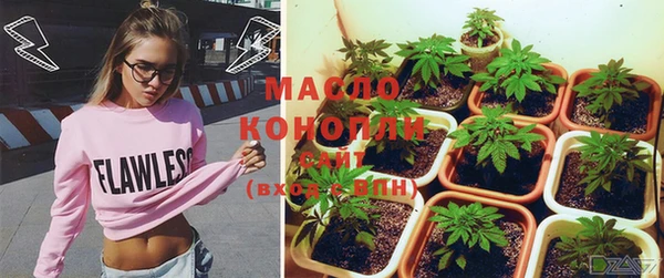 молекула духа Балахна