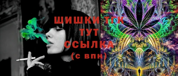 молекула духа Балахна