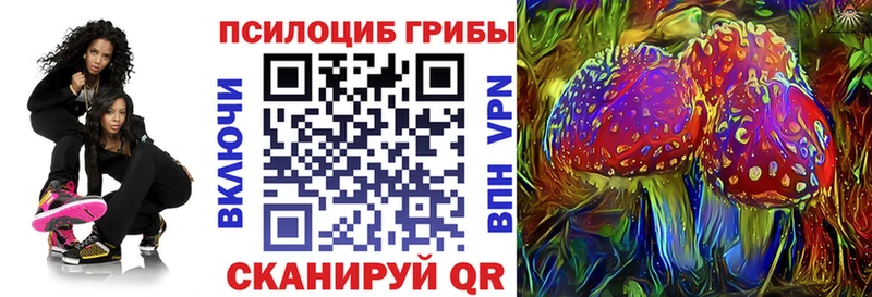 даркнет сайт  Спасск-Дальний  Псилоцибиновые грибы Psilocybine cubensis 
